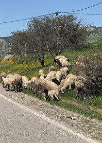Paysage sur l’itinéraire secondaire le plus authentique Paysage rural le long d’une route isolée dans le Moyen Atlas