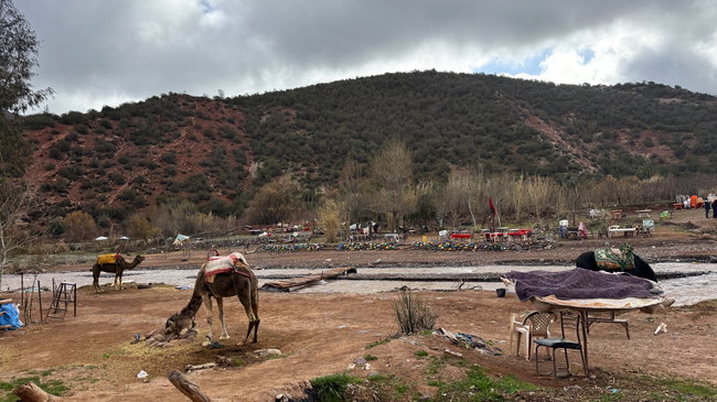 Voyage à moto au Maroc MM6 – Excursion dans une vallée verdoyante près de Marrakech Vallée verdoyante près de Marrakech avec un cours d’eau, les montagnes environnantes et des restaurants installés directement dans la rivière