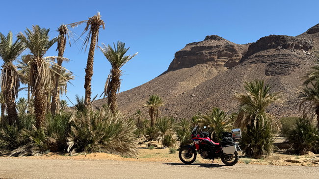 Voyage moto au Maroc MM8 – Palmeraies au milieu des paysages arides Paysage désertique du sud du Maroc avec des palmeraies et un environnement aride le long de la route