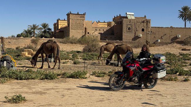 Voyage moto MM9 – De la région du Sahara en direction de l'Atlas Voyage à moto à travers les paysages désertiques du sud du Maroc lors du neuvième jour
