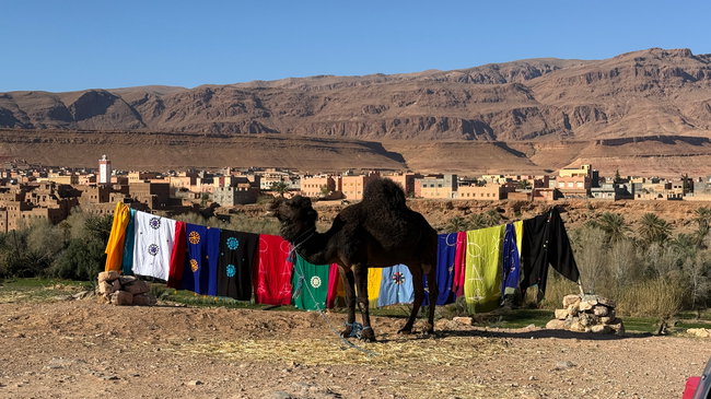 Vue sur une palmeraie dans les contreforts de l'Atlas, au sud du Maroc Vaste palmeraie verdoyante entre des versants montagneux arides et rocheux