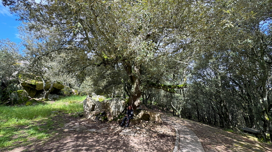 Von Cala Ganone über die Bergwelt geht es mit dem Motorrad durch Sardinien nach Norden Richtung Olbia