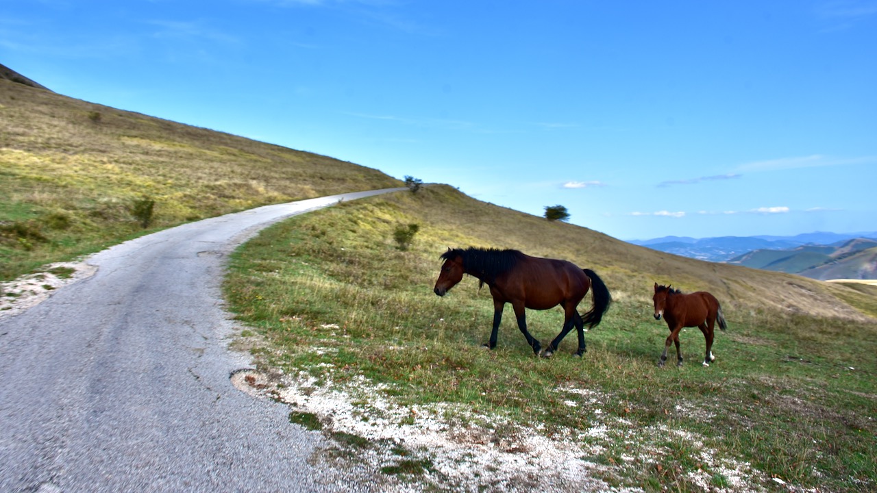 Motorradtour vom Mittelmeer nach Assisi und weiter zum Trasimeno See
