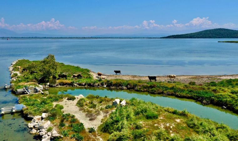 gn1   14 von gn1   14 von