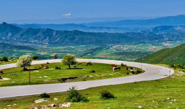 gn7   10 von
