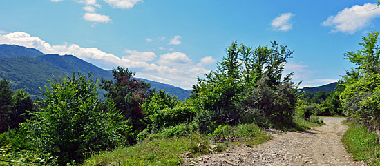 Waldwege Rumänien