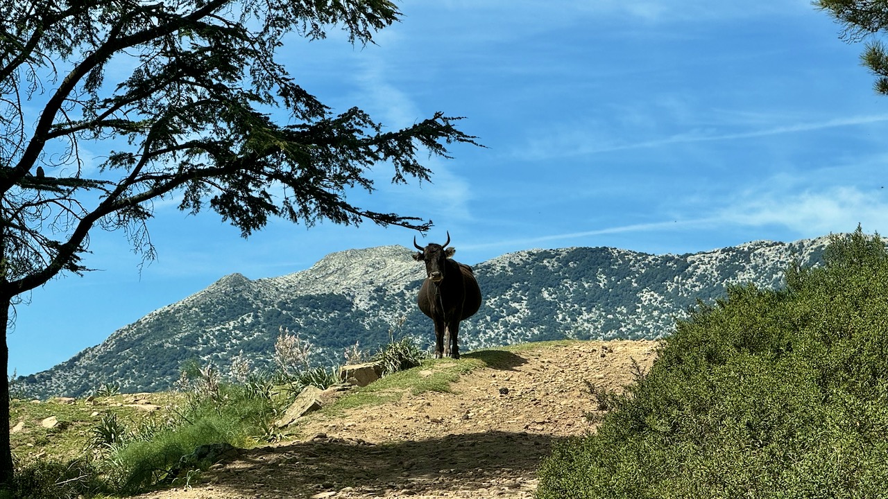  Sardinien Ost  GPS Tracks Offroadstrecken