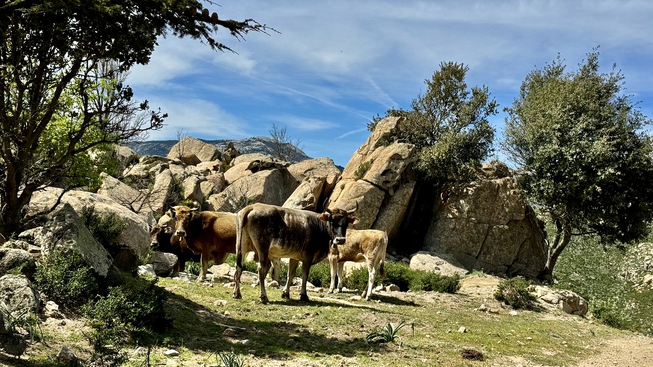  Sardinien Ost  GPS Tracks Offroadstrecken