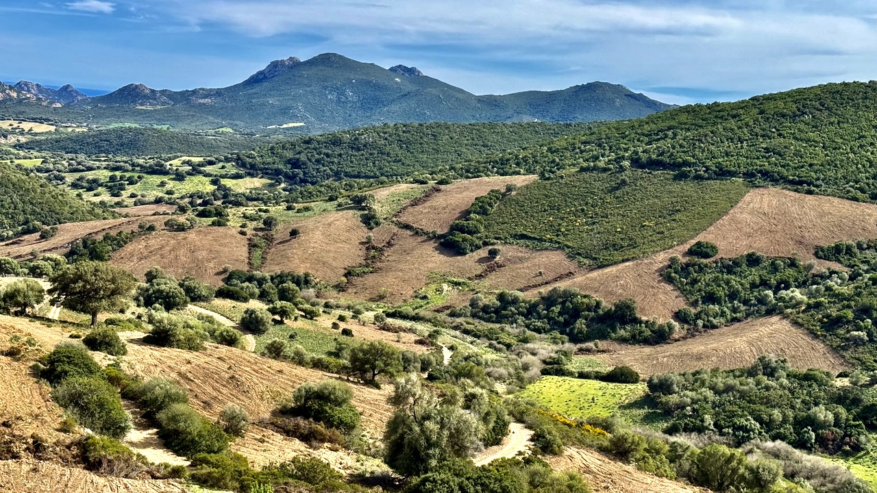 4x4 Geländewagen durch Sardinien