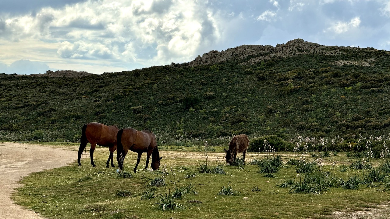 Endurostrecken in Sardinien