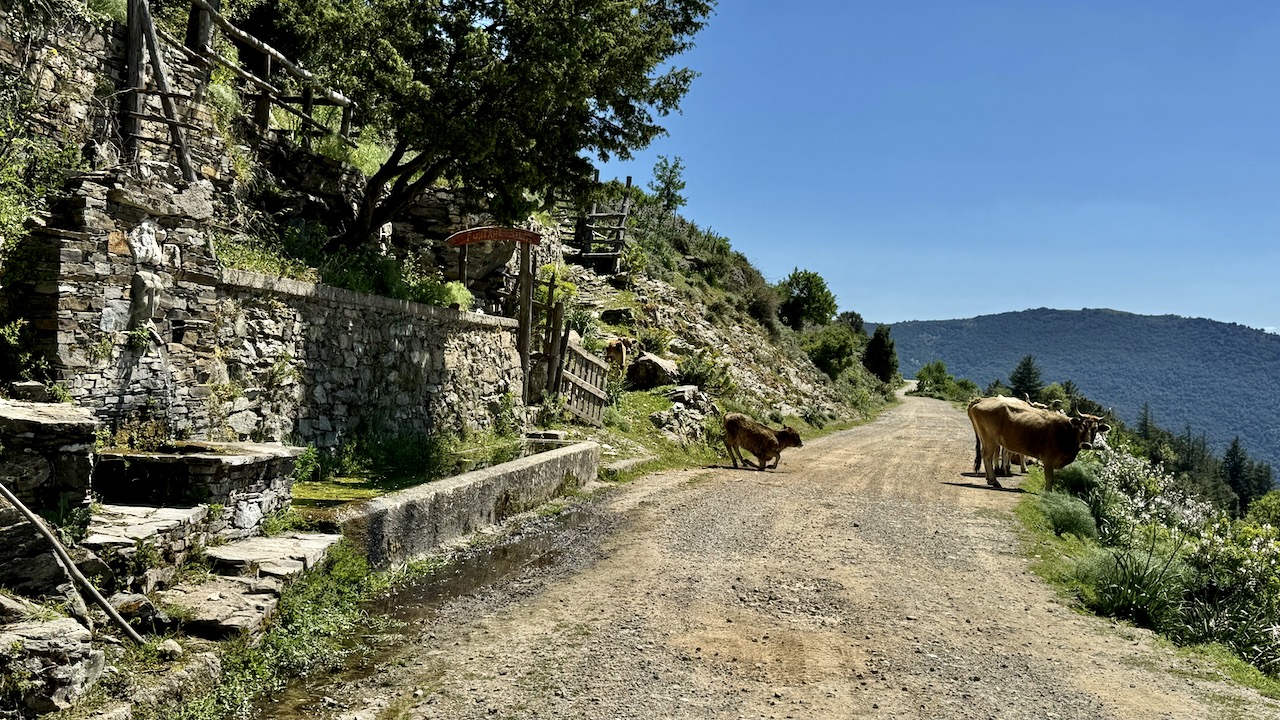 Offroadstrecken in Sardinien mit GPX Tracks