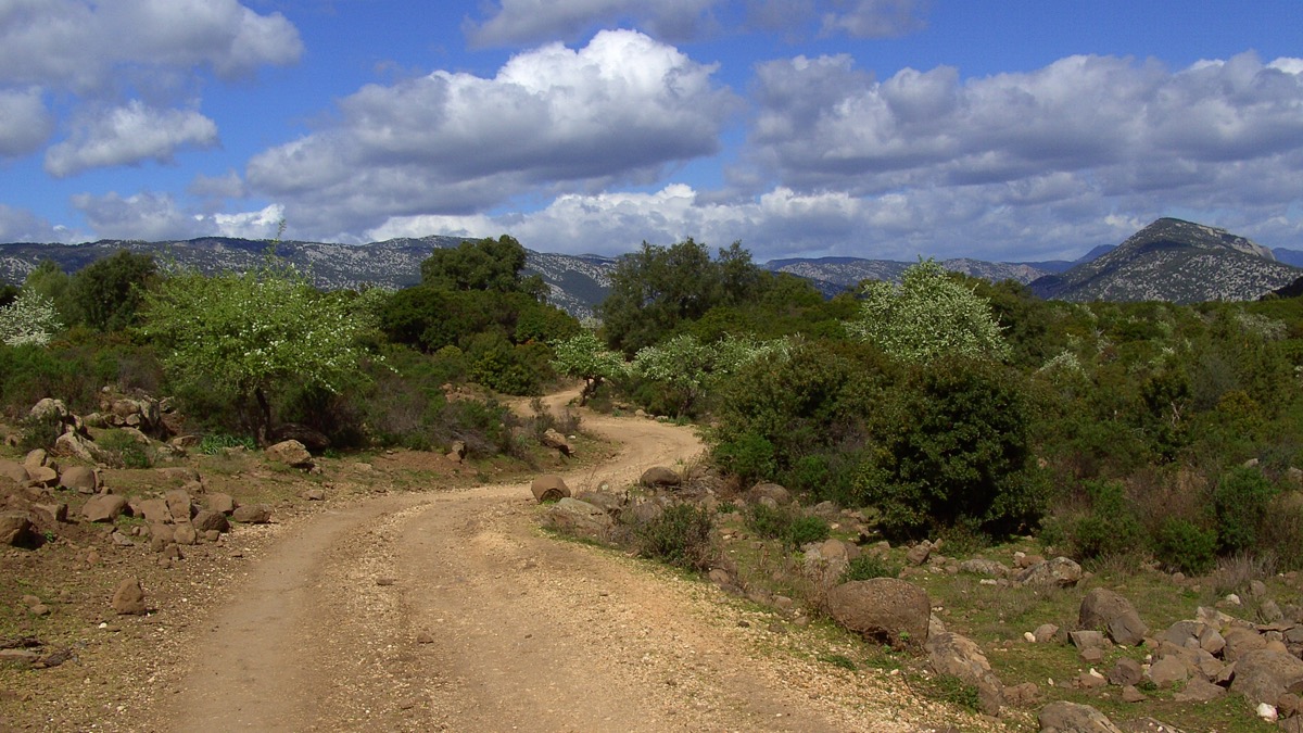 Offroadtour zu Cala Sisine auf Sardinien