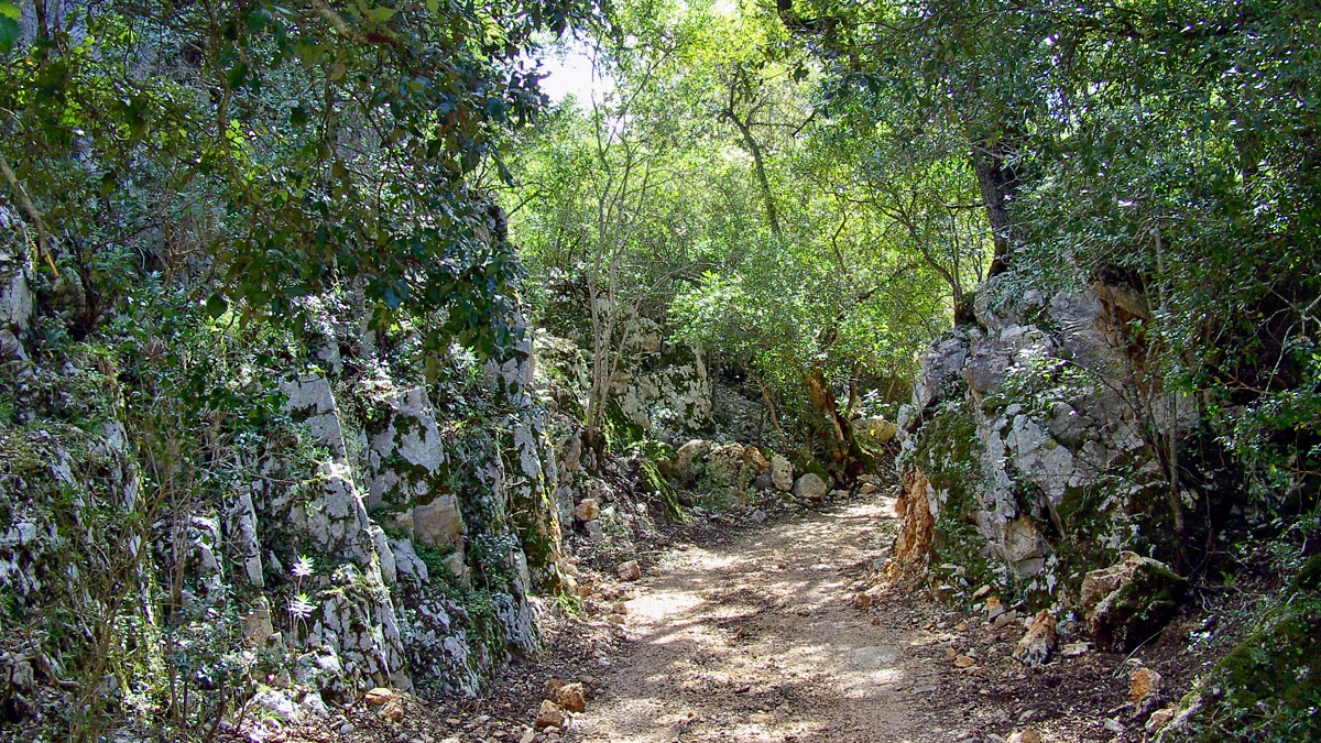 Offroadtour zu Cala Sisine auf Sardinien