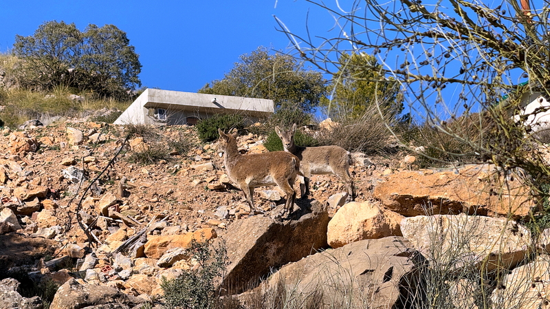 Sierra Lucar eine Offroadstrecke in Spanien (Andalusien)