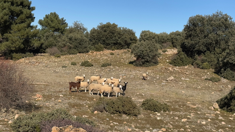 In Andalusien geht es durch die Sierra de Huetor (Südspabien), eine klasse Offroadstrecke entlang der Sierra Nevada