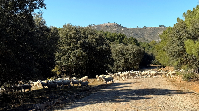 In Andalusien geht es durch die Sierra de Huetor (Südspabien), eine klasse Offroadstrecke entlang der Sierra Nevada