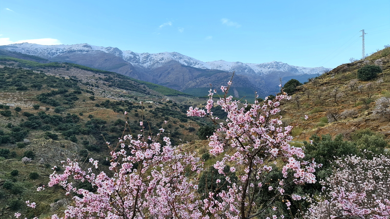 Eine lange Offroadpiste durch die nördliche Sierra Nevada