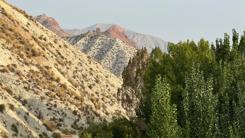 Es geht in Andalusien durch mehrere Sierra Nationalparks