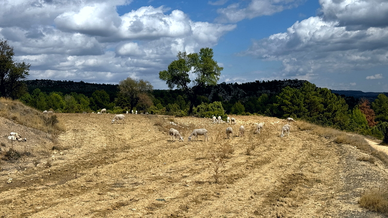 Offroadpisten durch Confines de la Sierra in Andalusien mit dem 4x4 in Spanien