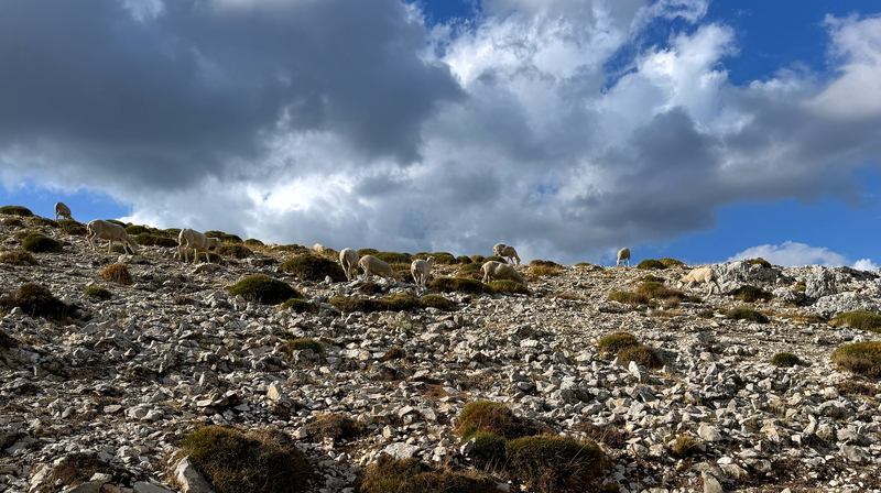 Eine Panoramapiste im Norden von Andalusien geht durch einen Nationalpark , fahrbar auch für 4x4 Wrangler, Mercedes G, Suzuki Jimny oder Grenadier