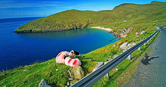 Klasse Landschaft am Atlantic Way (Irland)