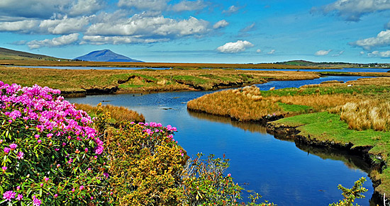 Klasse Landschaft am Atlantic Way (Irland)